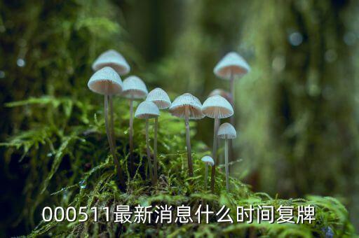 000511最新消息什么時間復(fù)牌