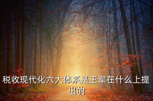 稅收現(xiàn)代化是什么，淺談如何實(shí)現(xiàn)稅收征管現(xiàn)代化