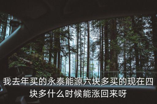 我去年買的永泰能源六塊多買的現(xiàn)在四塊多什么時(shí)候能漲回來呀