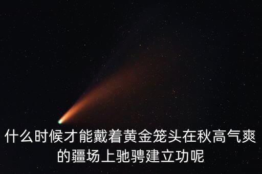 什么時候才能戴著黃金籠頭在秋高氣爽的疆場上馳騁建立功呢