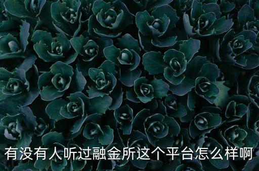 融金所是做什么的啊，融金所元立方金服怎么樣