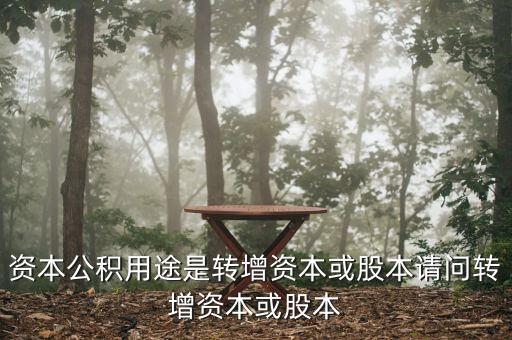 什么叫用資本公積轉(zhuǎn)增資本，資本公積金轉(zhuǎn)增資本金是什么意思