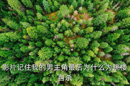 影片記住我的男主角最后為什么為跳樓自殺