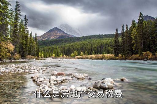 什么是房地產(chǎn)交易稅費