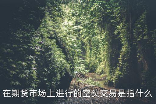 在期貨市場上進(jìn)行的空頭交易是指什么