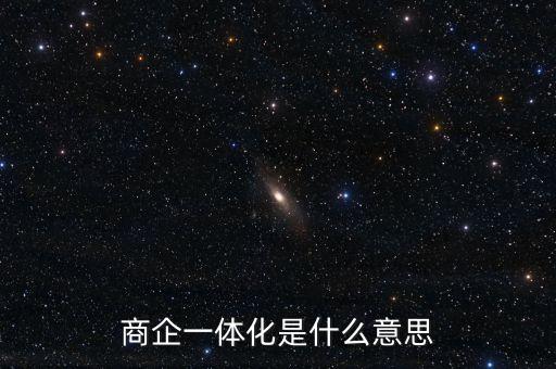 商企一體化是什么意思