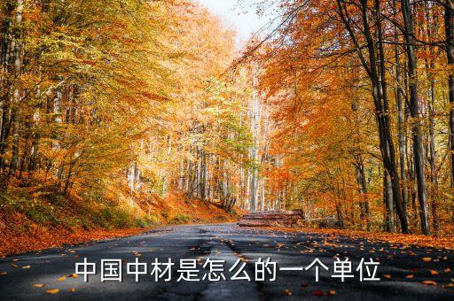 中國(guó)中材是怎么的一個(gè)單位