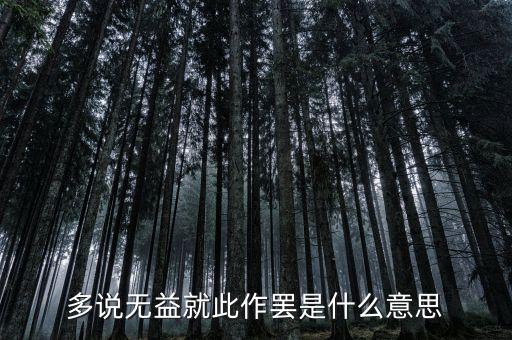 多說無益就此作罷是什么意思