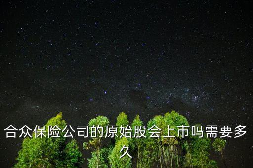 合眾保險公司的原始股會上市嗎需要多久