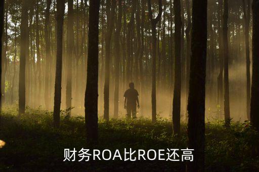財(cái)務(wù)ROA比ROE還高