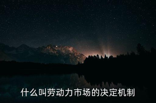 什么叫勞動力市場的決定機制