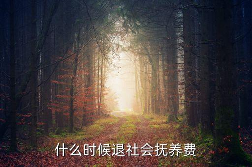 社會(huì)撫養(yǎng)費(fèi)什么時(shí)候取消，國(guó)家何時(shí)退社會(huì)撫養(yǎng)費(fèi)