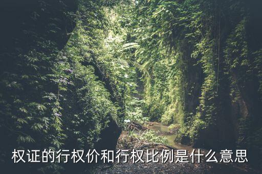 認購權(quán)證的行權(quán)比例是什么意思，權(quán)證的行權(quán)價和行權(quán)比例是什么意思