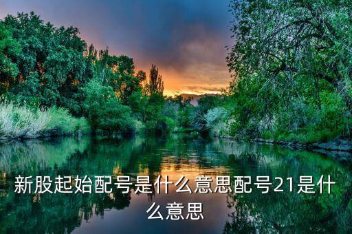 什么叫起始配號，新股起始配號是什么意思配號21是什么意思