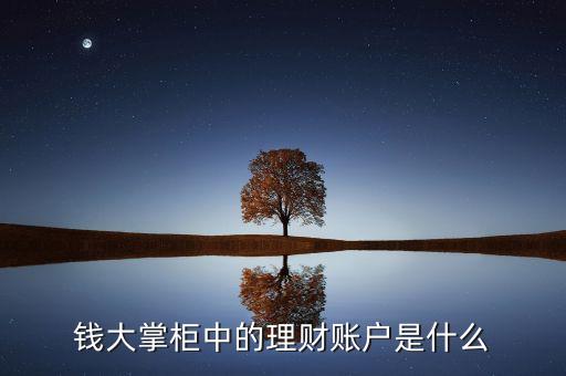 理財賬戶是什么，理財賬戶是什么在哪兒理財會更為靠譜些