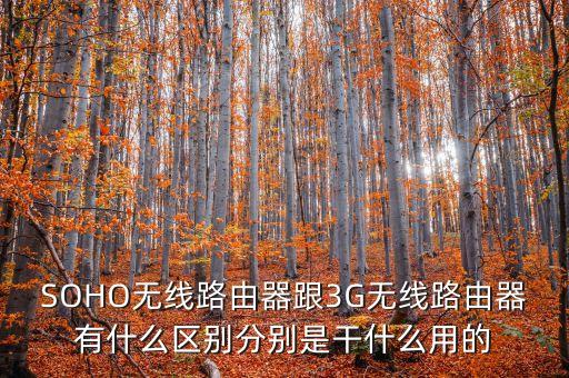 SOHO無線路由器跟3G無線路由器有什么區(qū)別分別是干什么用的