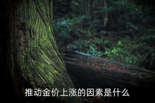 黃金上漲跟什么利好有關(guān)，黃金價(jià)格上漲與通貨膨脹究竟是什么關(guān)系