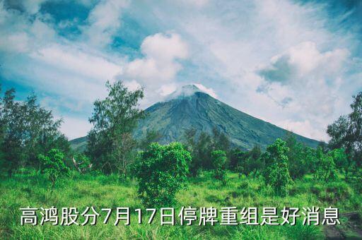 高鴻股分7月17日停牌重組是好消息