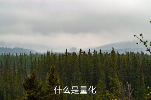 什么是量化