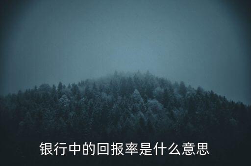 什么是銀行貸款回報，去銀行做回報是指