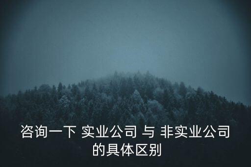 咨詢一下 實(shí)業(yè)公司 與 非實(shí)業(yè)公司 的具體區(qū)別