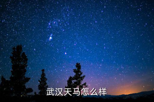 002276公司是做什么的呢，萬馬股份是做什么的