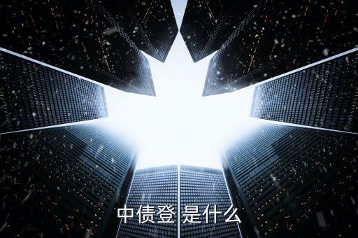 中債登 是什么