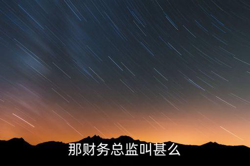 那財(cái)務(wù)總監(jiān)叫甚么
