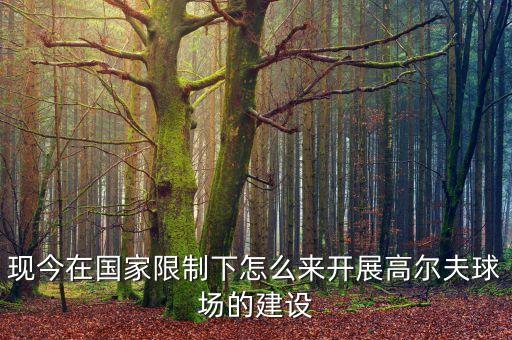 現(xiàn)今在國家限制下怎么來開展高爾夫球場的建設(shè)