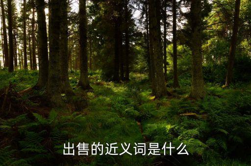 出售的近義詞是什么