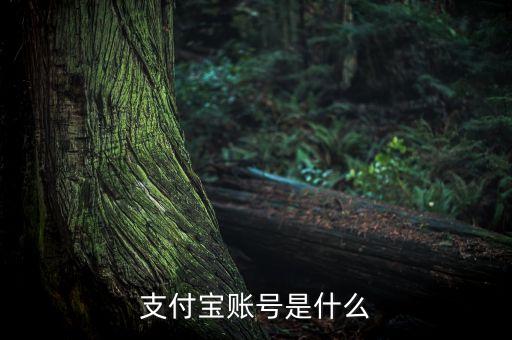 支付寶賬號是什么