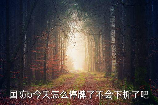 國(guó)防b今天怎么停牌了不會(huì)下折了吧