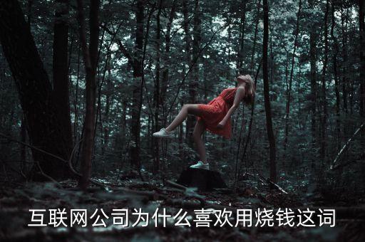 互聯(lián)網(wǎng)為什么燒錢(qián)，為什么互聯(lián)網(wǎng)銀行更燒錢(qián)