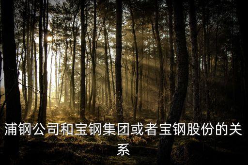 浦鋼公司和寶鋼集團或者寶鋼股份的關系