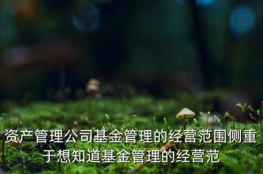 資產(chǎn)管理能經(jīng)營什么，資產(chǎn)管理公司都做什么有哪些