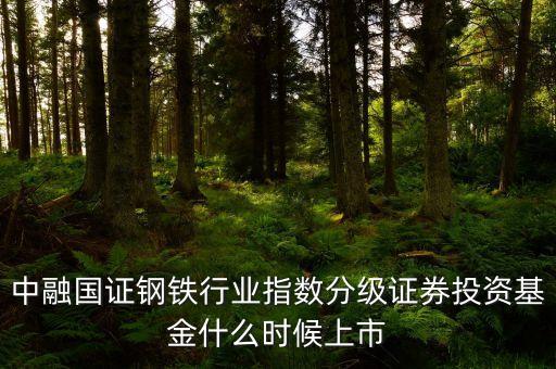 001719基金什么時(shí)候發(fā)行，嘉實(shí)成長增強(qiáng)001759的發(fā)行期是什么時(shí)候求介紹