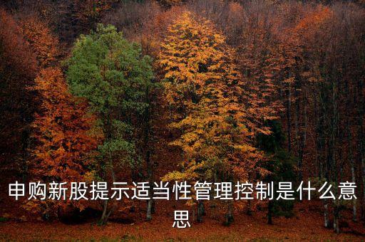申購新股提示適當(dāng)性管理控制是什么意思