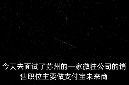 今天去面試了蘇州的一家微往公司的銷售職位主要做支付寶未來商