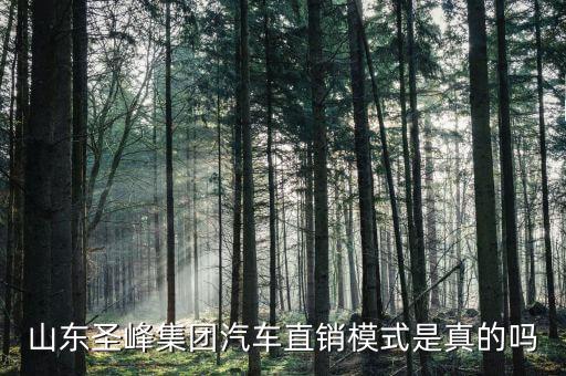 山東圣峰集團(tuán)汽車直銷模式是真的嗎
