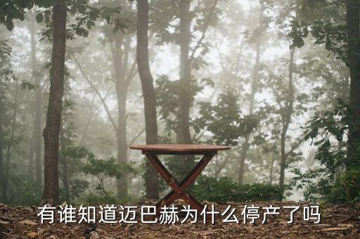 邁巴赫為什么停產(chǎn)，邁巴赫為什么停產(chǎn)了