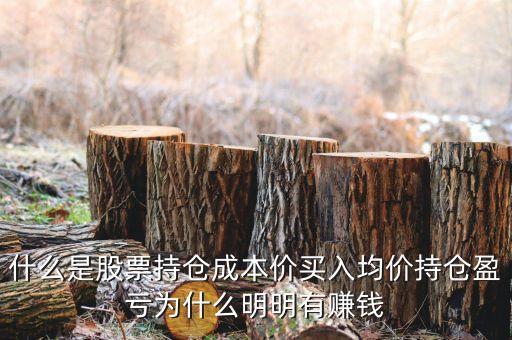 什么是股票持倉(cāng)成本價(jià)買(mǎi)入均價(jià)持倉(cāng)盈虧為什么明明有賺錢(qián)