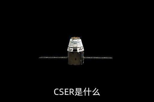 ccer是什么，中債登 是什么