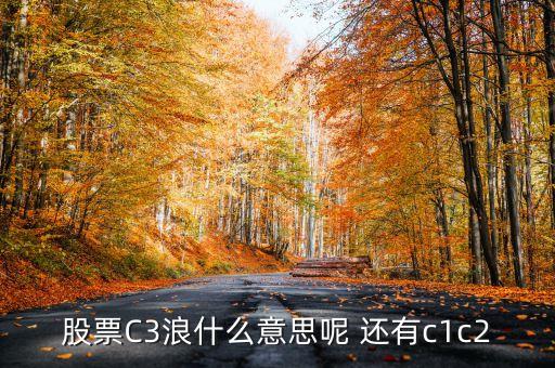 股票C3浪什么意思呢 還有c1c2