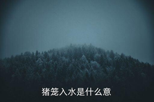 豬籠入水籠什么意思，豬籠入水是什么意思幫幫忙