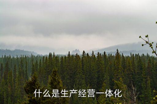 什么是一體化經營模式，什么是生產經營一體化
