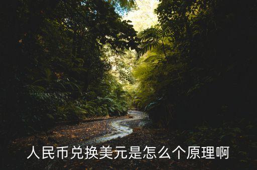 人民幣兌換美元是怎么個原理啊