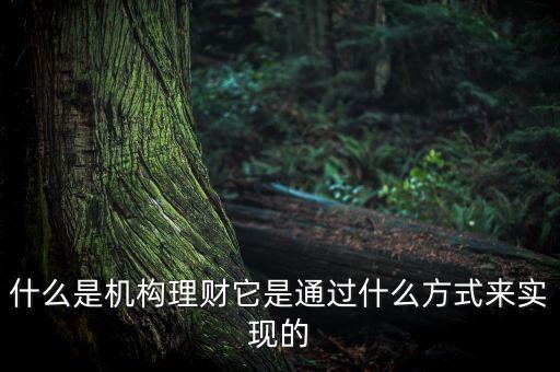 什么是機(jī)構(gòu)理財，什么是第三方的理財機(jī)構(gòu)