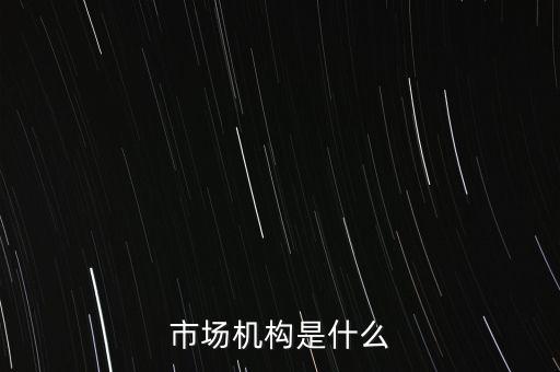 市場機(jī)構(gòu)是什么