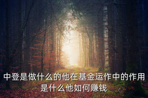 中登是做什么的他在基金運(yùn)作中的作用是什么他如何賺錢
