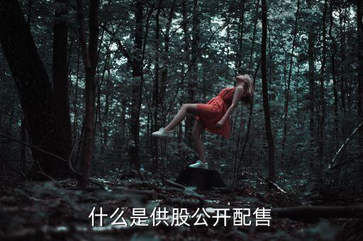 什么是自主配售，什么是供股公開配售